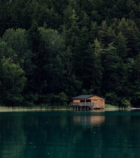 brown wooden house on lake