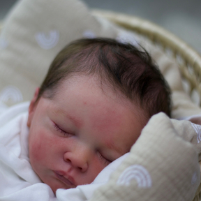 La abuelita reborn new arrivals