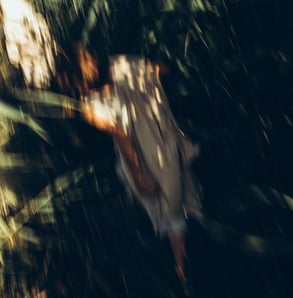 woman in white and brown dress standing on green grass during night time