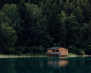 brown wooden house on lake