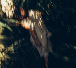 woman in white and brown dress standing on green grass during night time