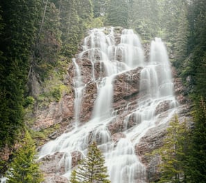 water falls in the forest