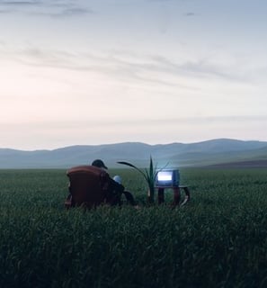 people sitting on grass field during daytime