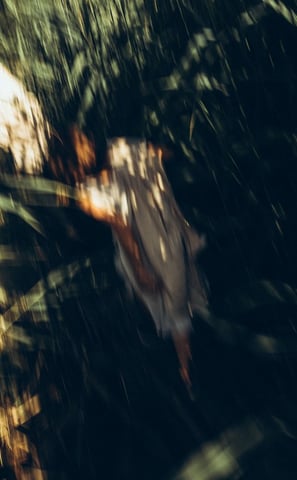 woman in white and brown dress standing on green grass during night time