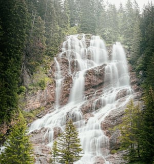 water falls in the forest