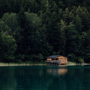 brown wooden house on lake