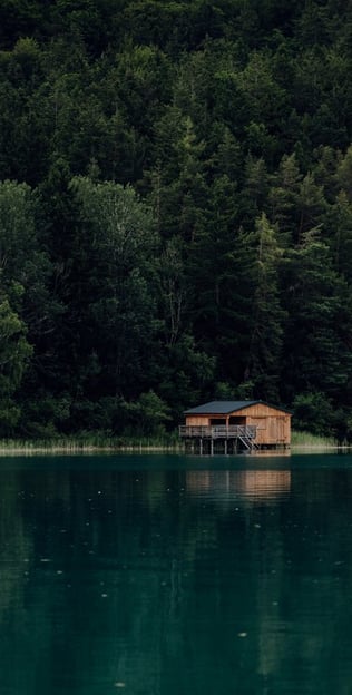 brown wooden house on lake
