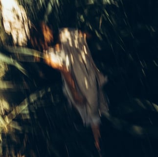 woman in white and brown dress standing on green grass during night time
