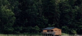 brown wooden house on lake