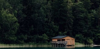 brown wooden house on lake