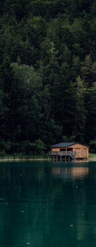 brown wooden house on lake