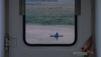 white and brown train door