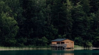 brown wooden house on lake