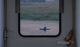 white and brown train door