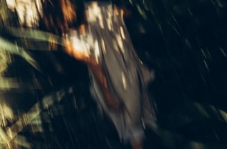 woman in white and brown dress standing on green grass during night time