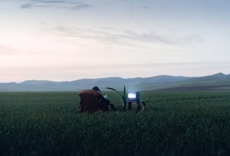 people sitting on grass field during daytime