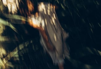 woman in white and brown dress standing on green grass during night time