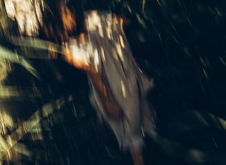 woman in white and brown dress standing on green grass during night time