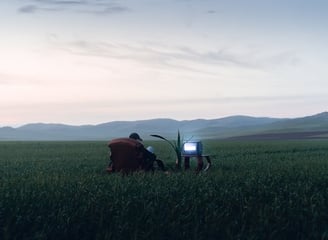 people sitting on grass field during daytime