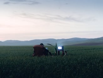people sitting on grass field during daytime