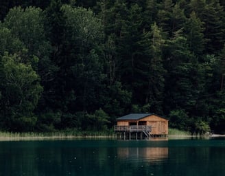 brown wooden house on lake