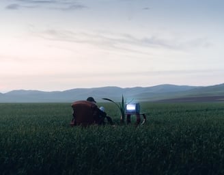 people sitting on grass field during daytime