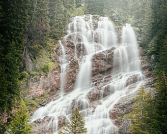 water falls in the forest