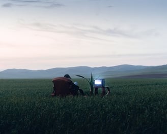 people sitting on grass field during daytime