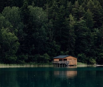 brown wooden house on lake