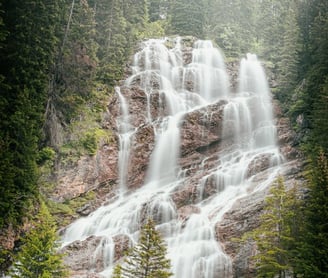 water falls in the forest