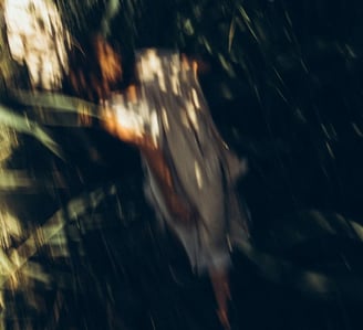 woman in white and brown dress standing on green grass during night time