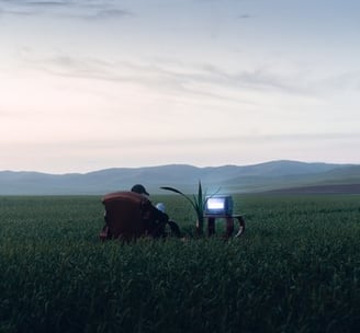 people sitting on grass field during daytime
