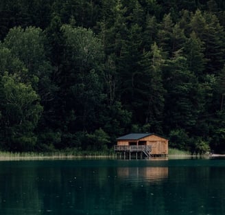 brown wooden house on lake