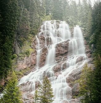 water falls in the forest