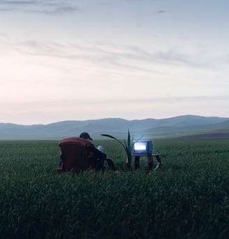 people sitting on grass field during daytime
