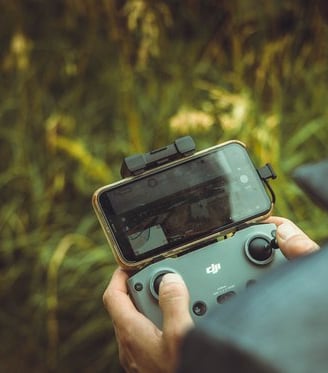 person holding black and gray digital camera
