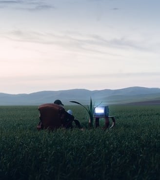 people sitting on grass field during daytime