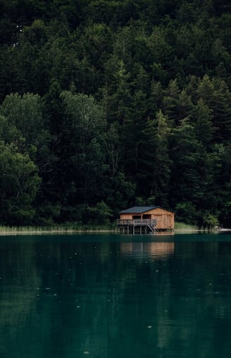 brown wooden house on lake