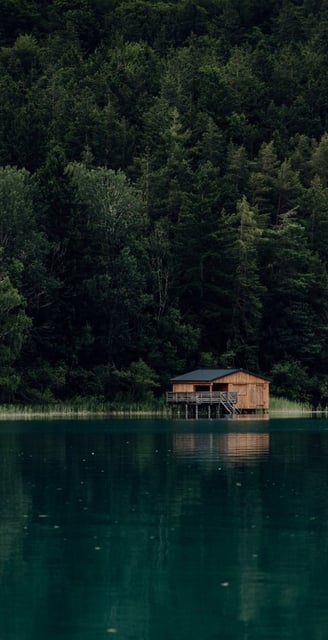 brown wooden house on lake