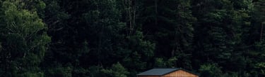 brown wooden house on lake