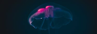 blue and white smoke illustration