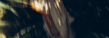 woman in white and brown dress standing on green grass during night time