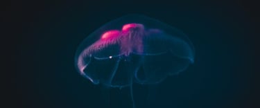 blue and white smoke illustration