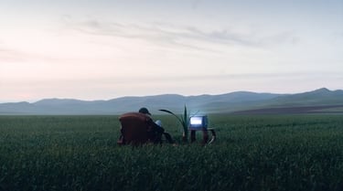 people sitting on grass field during daytime