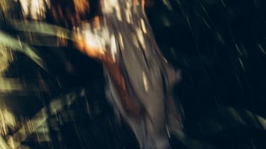 woman in white and brown dress standing on green grass during night time