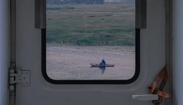 white and brown train door