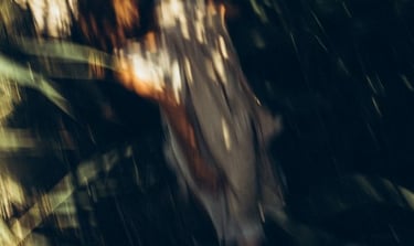 woman in white and brown dress standing on green grass during night time