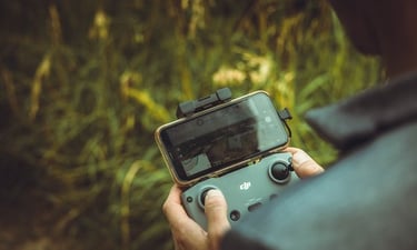 person holding black and gray digital camera