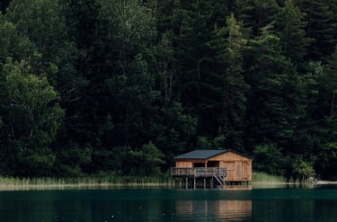 brown wooden house on lake