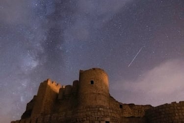 brown concrete building under starry night